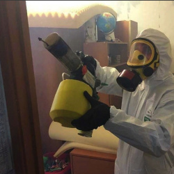 Уничтожение клопов в квартире. Бунинская аллея